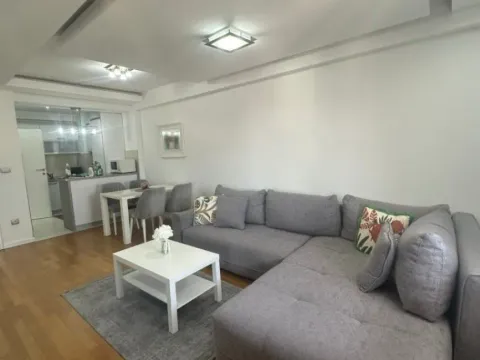 Izdavanje, jednosoban stan, 58m², Stari Aerodrom, Podgorica - image 10