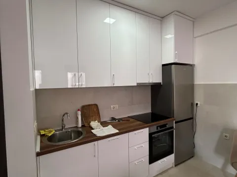 Rent, one bedroom apartment, 45m², Zabjelo, Podgorica - image 5