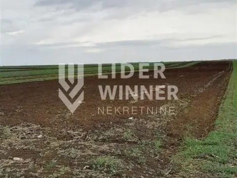 Prodaja, plac, 9765m², Surčin, Beograd - image 3