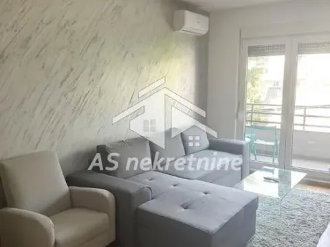 Izdavanje, dvosoban stan, 54m², Južni Bulevar, Vračar Sve Podlokacije - image 4