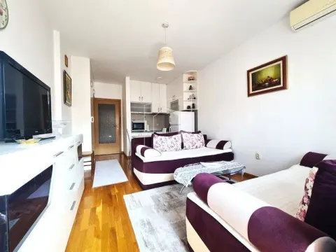 Rent, studio apartment, 30m², Tuški Put, Podgorica - image 1