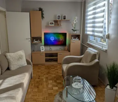 Prodaja, dvosoban stan, 46m², Detelinara, Novi Sad Sve Podlokacije - image 9