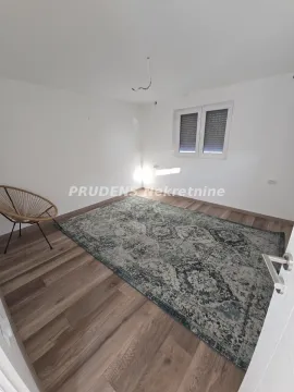 Empty room with laminate flooring, a large rug, and a single chair. - image 14