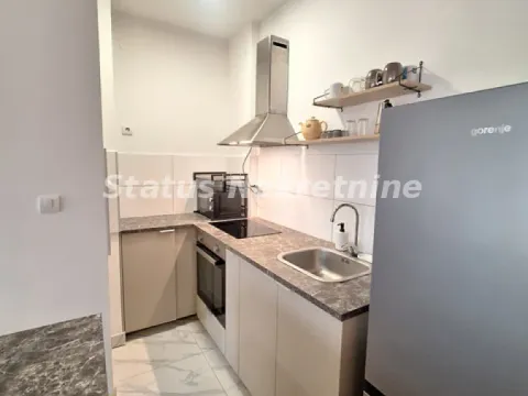 Izdavanje, dvosoban stan, 46m², Centar, Novi Sad - image 7