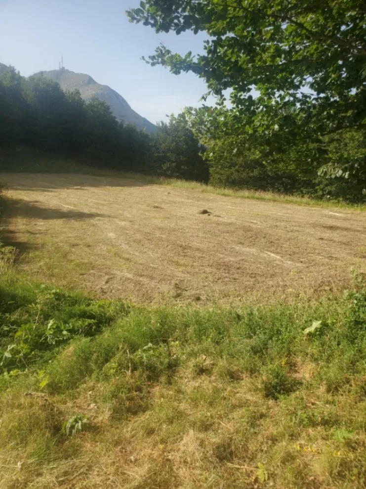 Prodaja, plac, 3002m², Ivanova Korita, Cetinje