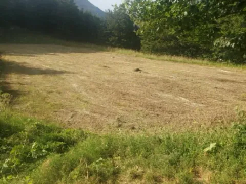 Sale, land lot, 3002m², Ivanova Korita, Cetinje - image 8