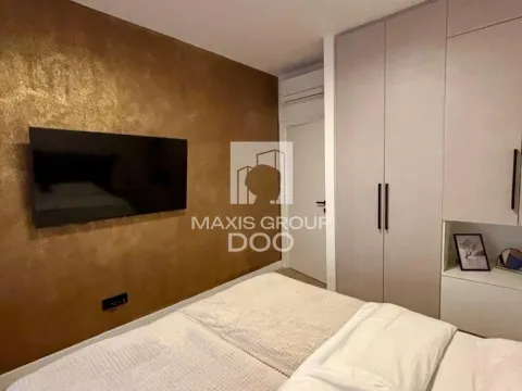 Izdavanje, dvosoban stan, 50m², Savski Venac, Beograd - image 6