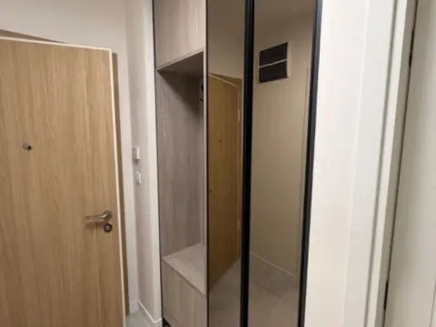 Izdavanje, jednosoban stan, 47m², Central Point, Podgorica - image 6