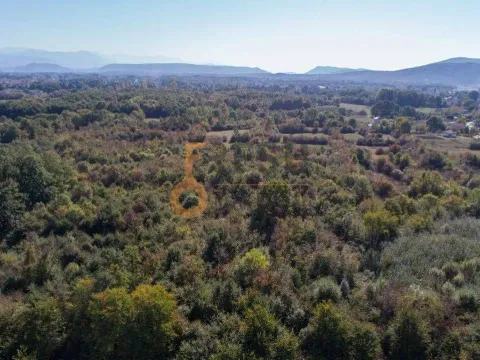 Prodaja, plac, 12000m², Danilovgrad, Crna Gora - image 3