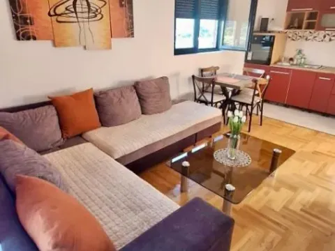 Izdavanje, dvosoban stan, 50m², Zabjelo, Podgorica - image 4