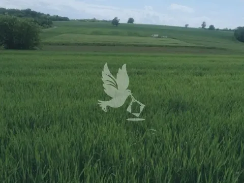 Prodaja, plac, 47000m², Sopot, Beograd - image 4