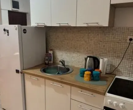 Rent, one bedroom apartment, 45m², Golubovina, Budva - image 5