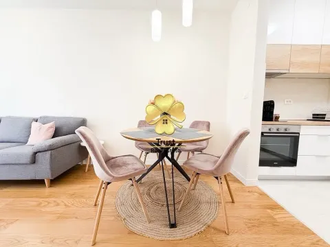 Izdavanje, jednosoban stan, 42m², Central Point, Podgorica - image 2