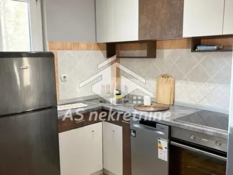 Rent, two bedroom apartment, 46m², Vračar Hram, Vračar Sve Podlokacije - image 10