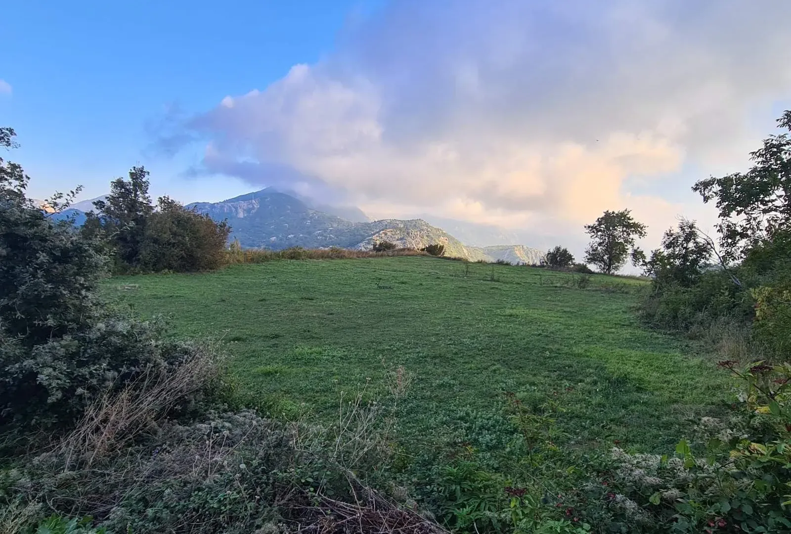 Prodaja, plac, 898m², Budva, Crna Gora