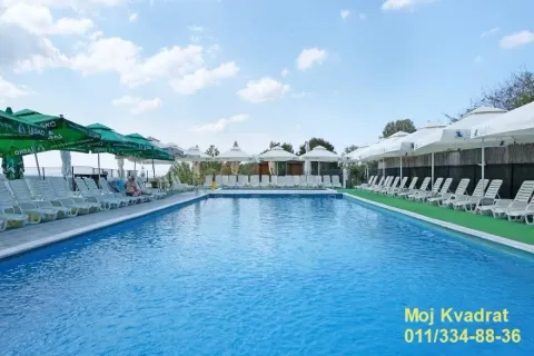 Large outdoor swimming pool with sun loungers and umbrellas. - image 3