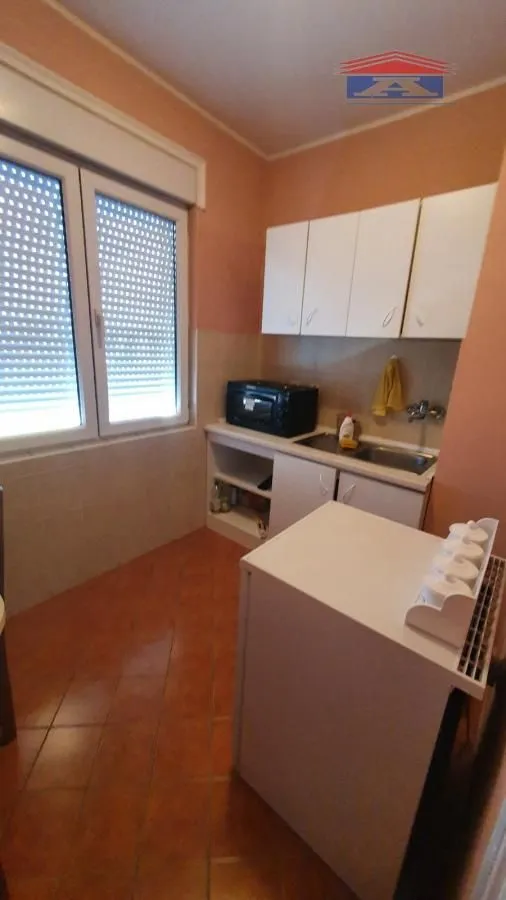 Rent, one bedroom apartment, 30m², Podbara, Novi Sad Sve Podlokacije