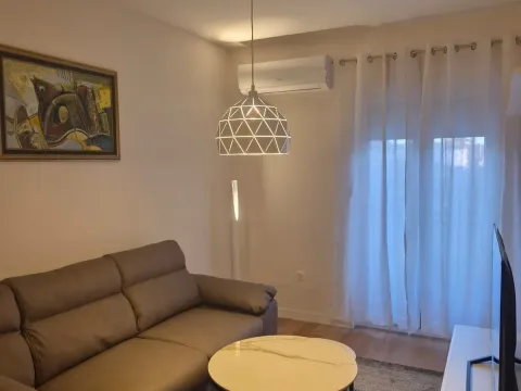 Rent, apartment, 45m², Central Point, Podgorica - image 1