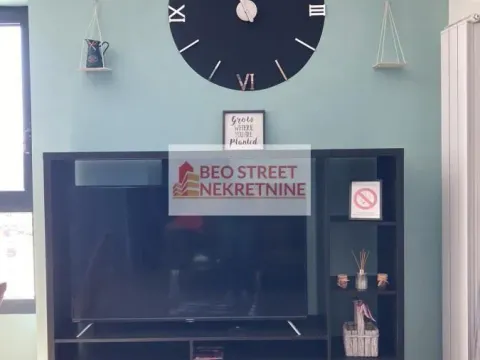 Izdavanje, dvosoban stan, 50m², Savski Venac, Beograd - image 4