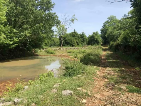 Sale, land lot, 17500m², Velja Gorana, Bar - image 2