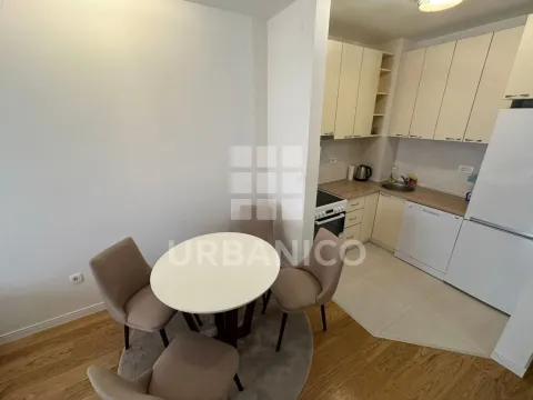 Rent, one bedroom apartment, 42m², Central Point, Podgorica - image 3