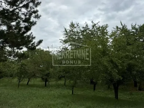 Prodaja, plac, 10000m², Mala Bosna, Subotica - image 3