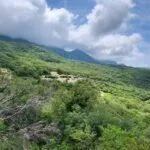 Prodaja, dvosoban stan, 61m², Rafailovići, Budva - image 9