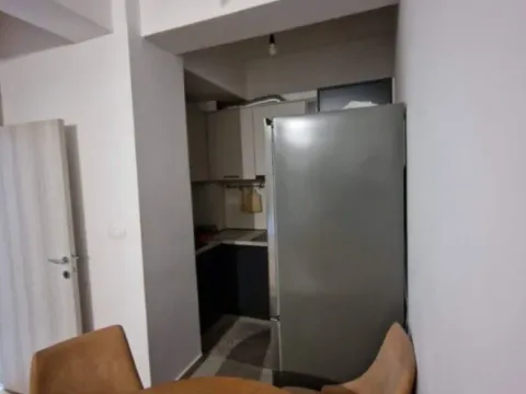 Izdavanje, jednosoban stan, 42m², Zagorič, Podgorica - image 3