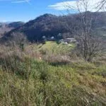 Izdavanje, kuća, 247m², Cetinje, Crna Gora - image 17