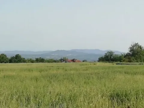 Prodaja, plac, 19500m², Koraćica, Mladenovac - image 13