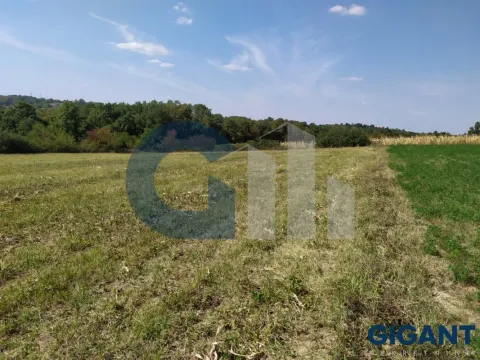 Prodaja, plac, 5000m², Nenadovac, Barajevo - image 9