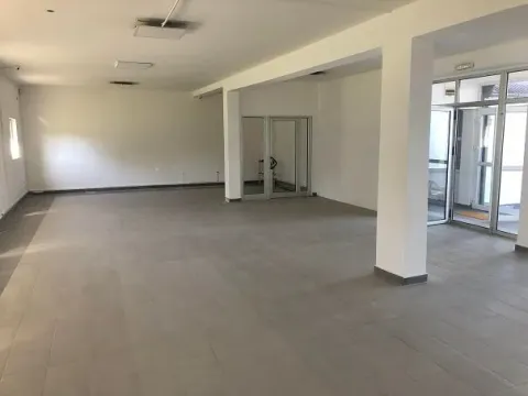 Izdavanje, poslovni prostor, 920m², Zemun Sve Podlokacije, Beograd - image 4