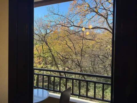 Rent, one bedroom apartment, 43m², Lazi, Budva - image 6