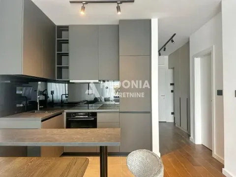 Izdavanje, dvosoban stan, 50m², Vračar Sve Podlokacije, Beograd - image 7