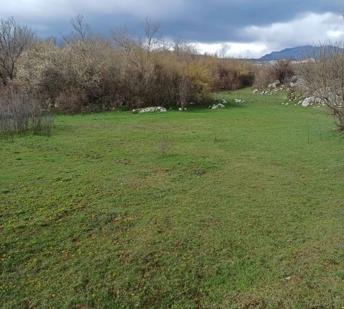 Prodaja, plac, 17000m², Podgorica, Crna Gora