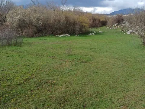 Prodaja, plac, 17000m², Podgorica, Crna Gora - image 7