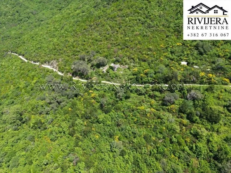 Prodaja, plac, 7774m², Baošići, Herceg Novi