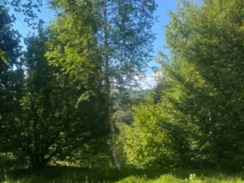 Sale, land lot, 157000m², Padež, Kolašin - image 3