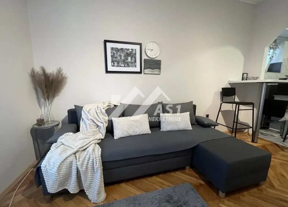 Izdavanje, stan, 25m², Rotkvarija, Novi Sad Sve Podlokacije