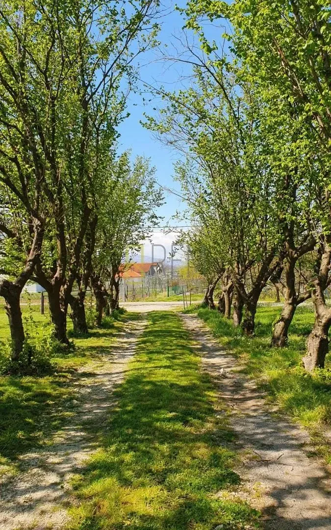 Prodaja, kuća, 132m², Ćurilac, Danilovgrad