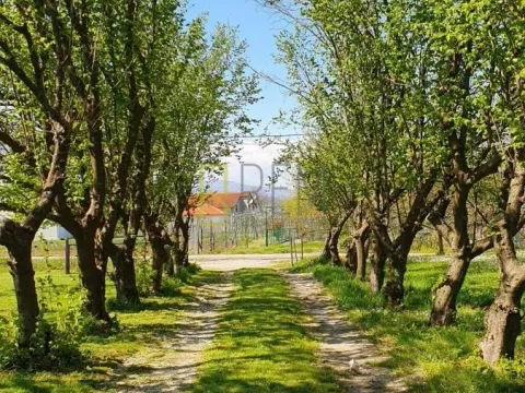 Sale, house, 132m², Ćurilac, Danilovgrad - image 10