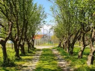 Sale, house, 132m², Ćurilac, Danilovgrad - image 10