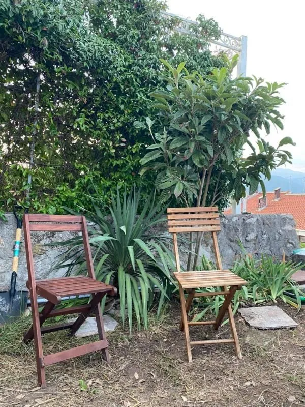 Dvije drvene stolice u dvorištu okružene zelenilom i kamenim zidom.