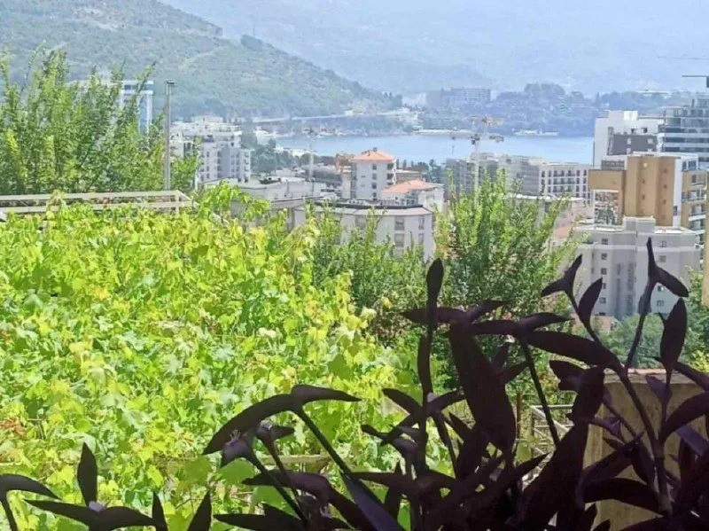 Sale, one bedroom apartment, 28m², Babin Do, Budva