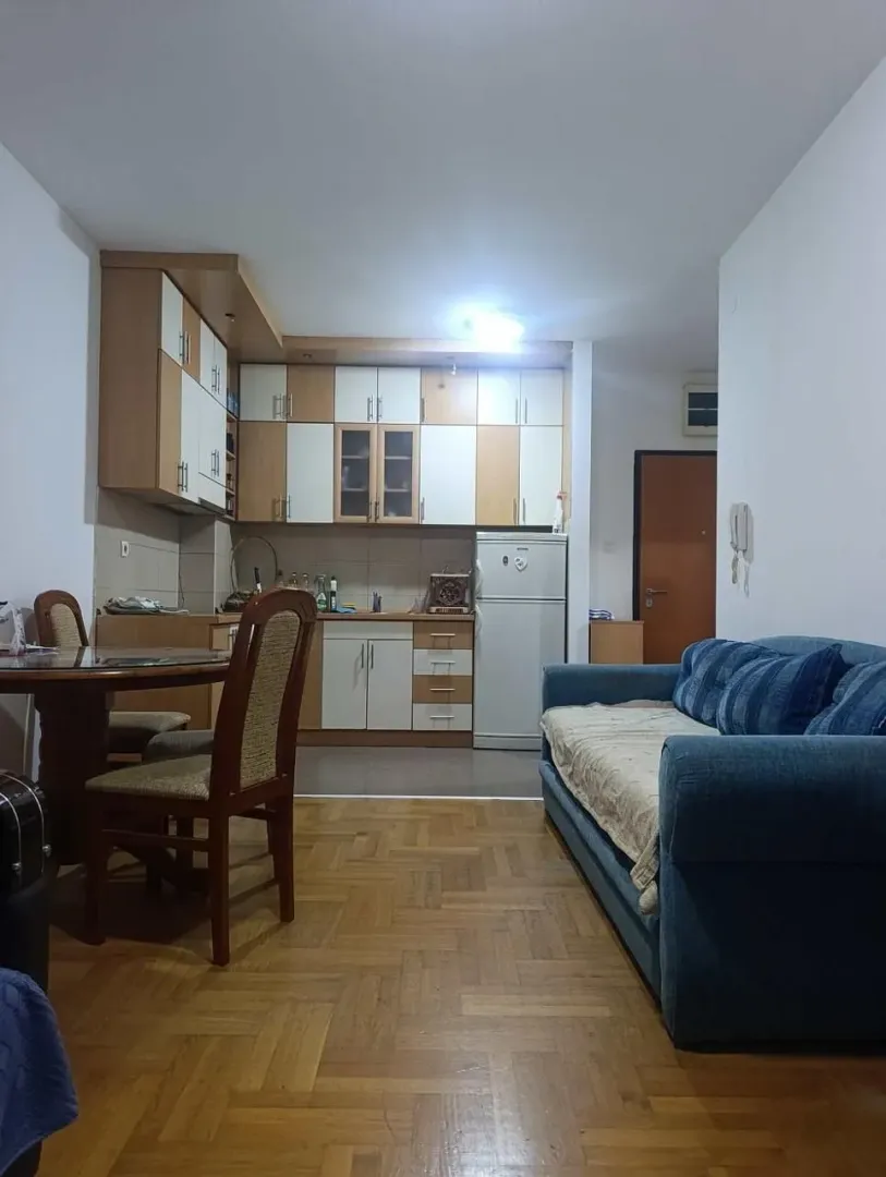 Dnevni boravak sa trpezarijom i kuhinjom u pozadini.