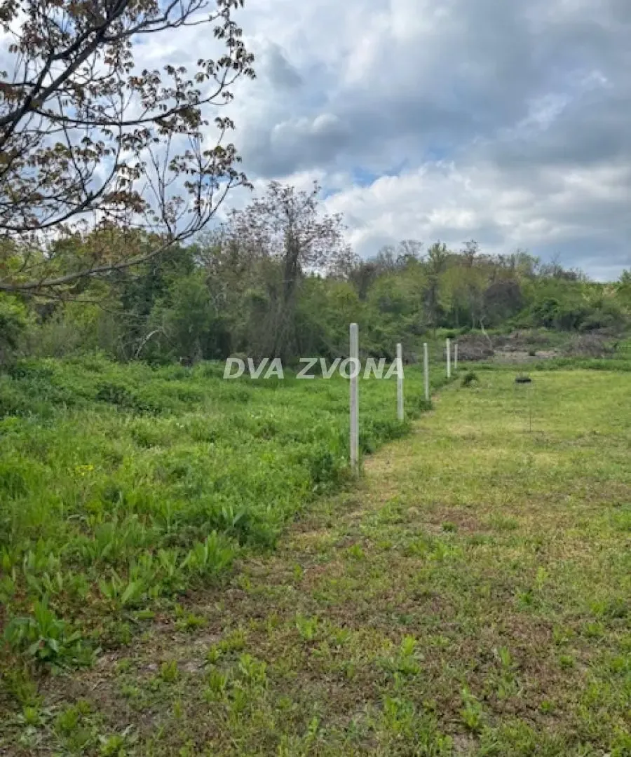 Prodaja, plac, 6400m², Čortanovci, Inđija