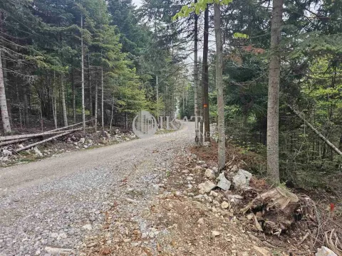 Sale, land lot, 500m², Tara, Srbija - image 7