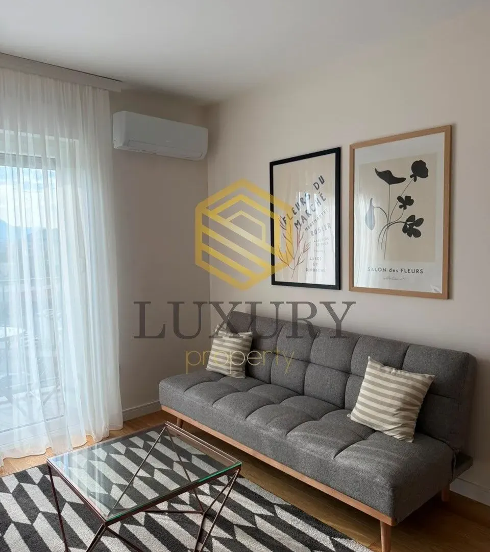 Rent, one bedroom apartment, 40m², Pobrežje, Podgorica
