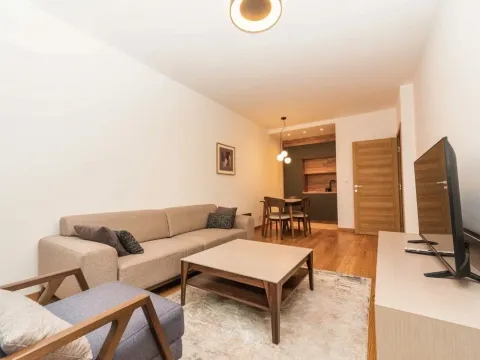 Rent, one bedroom apartment, 44m², Podgorica, Crna Gora - image 1