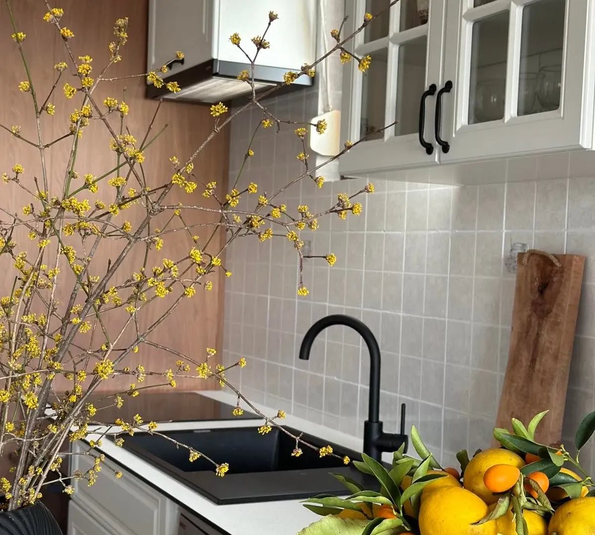 Rent, one bedroom apartment, 63m², Kruševac, Podgorica